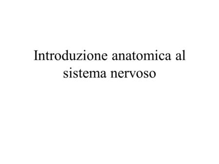 Introduzione anatomica al sistema nervoso