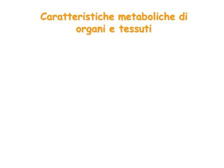 Caratteristiche metaboliche di organi e tessuti