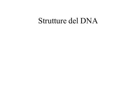 Strutture del DNA. Cominciamo ora a vedere più da vicino la struttura del DNA e poi i processi che permettono di trasmettere, mantenere e modificare questa.