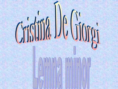Cristina De Giorgi Lemna minor.