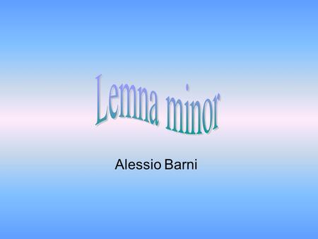 Lemna minor Alessio Barni.