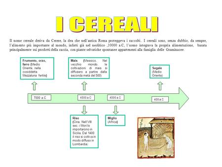 I CEREALI Il nome cereale deriva da Cerere, la dea che nell’antica Roma proteggeva i raccolti.. I cereali sono, senza dubbio, da sempre, l’alimento più.