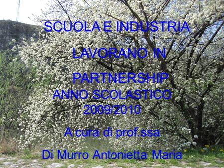 SCUOLA E INDUSTRIA ANNO SCOLASTICO 2009/2010 A cura di prof.ssa Di Murro Antonietta Maria LAVORANO IN PARTNERSHIP.