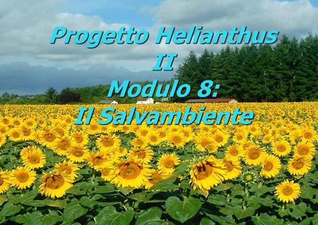 Progetto Helianthus II Modulo 8: Il Salvambiente.