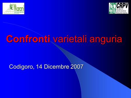 Confronti varietali anguria