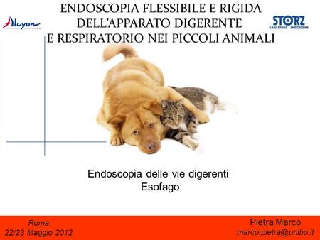 ENDOSCOPIA FLESSIBILE E RIGIDA DELL’APPARATO DIGERENTE