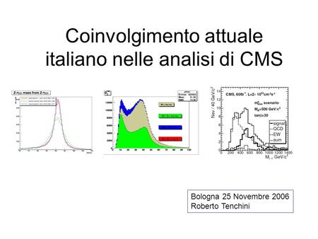 Coinvolgimento attuale italiano nelle analisi di CMS Bologna 25 Novembre 2006 Roberto Tenchini.