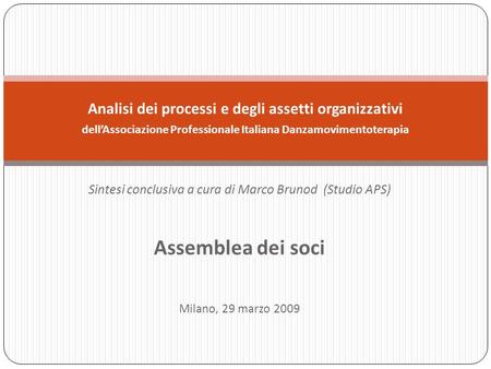 Sintesi conclusiva a cura di Marco Brunod (Studio APS) Assemblea dei soci Milano, 29 marzo 2009 Analisi dei processi e degli assetti organizzativi dellAssociazione.