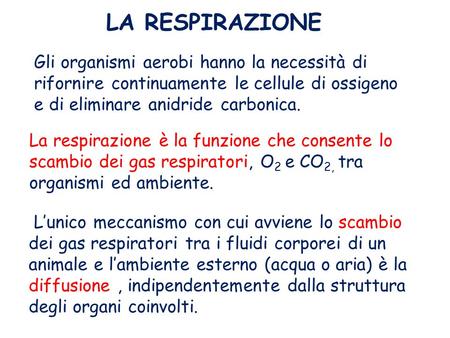 LA RESPIRAZIONE Gli organismi aerobi hanno la necessità di rifornire continuamente le cellule di ossigeno e di eliminare anidride carbonica. La respirazione.