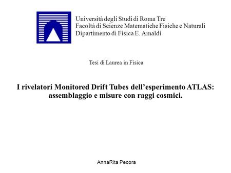 I rivelatori Monitored Drift Tubes dell’esperimento ATLAS:
