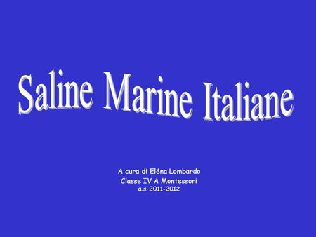 Saline Marine Italiane