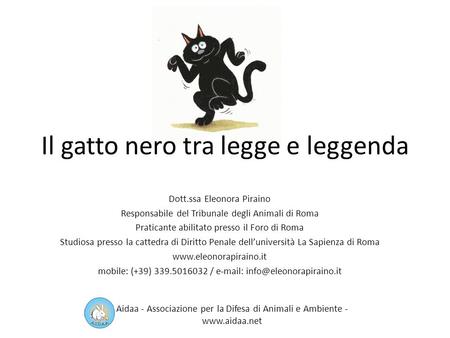 Il gatto nero tra legge e leggenda