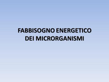 FABBISOGNO ENERGETICO DEI MICRORGANISMI