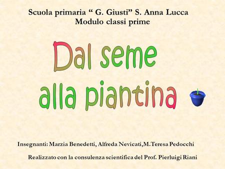 Dal seme alla piantina Scuola primaria “ G. Giusti” S. Anna Lucca
