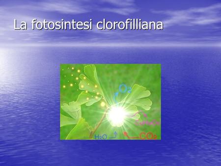 La fotosintesi clorofilliana. La fotosintesi clorofilliana è una parola composta da: La fotosintesi clorofilliana è una parola composta da:fotosintesi.
