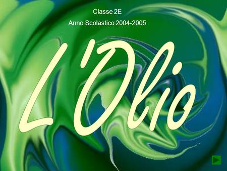 Classe 2E Anno Scolastico 2004-2005 L'Olio.