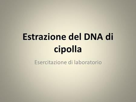 Estrazione del DNA di cipolla