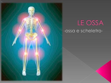 LE OSSA -ossa e scheletro-.