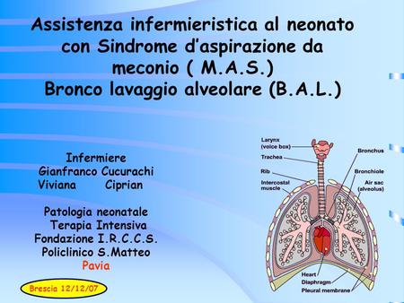 Assistenza infermieristica al neonato con Sindrome d’aspirazione da meconio ( M.A.S.) Bronco lavaggio alveolare (B.A.L.) Infermiere Gianfranco Cucurachi.
