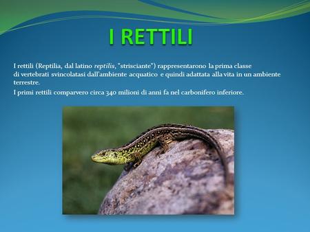 I RETTILI I rettili (Reptilia, dal latino reptilis, strisciante) rappresentarono la prima classe di vertebrati svincolatasi dall'ambiente acquatico.