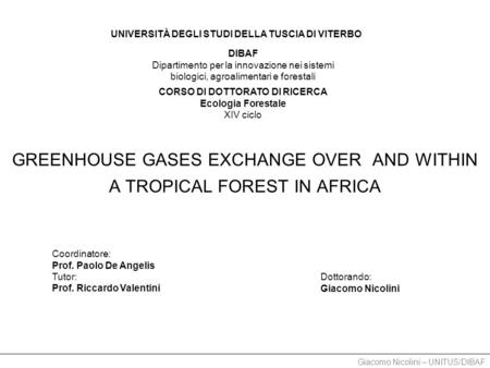 Giacomo Nicolini – UNITUS/DIBAF GREENHOUSE GASES EXCHANGE OVER AND WITHIN A TROPICAL FOREST IN AFRICA Coordinatore: Prof. Paolo De Angelis Tutor: Prof.