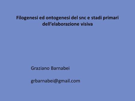 Filogenesi ed ontogenesi del snc e stadi primari dell’elaborazione visiva Graziano Barnabei grbarnabei@gmail.com.