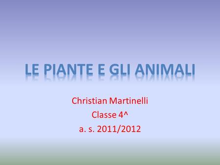 Christian Martinelli Classe 4^ a. s. 2011/2012