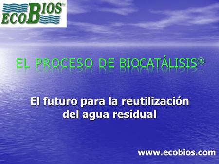 EL PROCESO DE BIOCATÁLISIS®