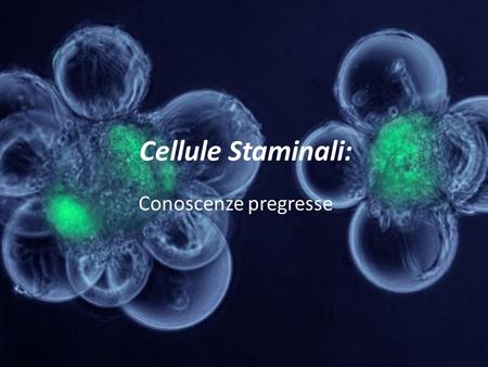 Cellule Staminali: Conoscenze pregresse.