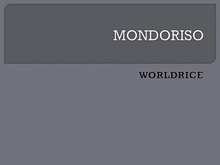 MONDORISO WORLDRICE.