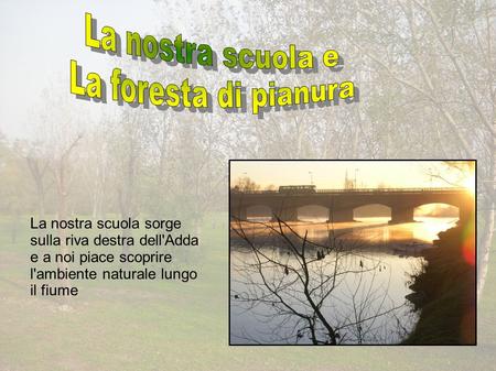 La nostra scuola sorge sulla riva destra dell'Adda e a noi piace scoprire l'ambiente naturale lungo il fiume.