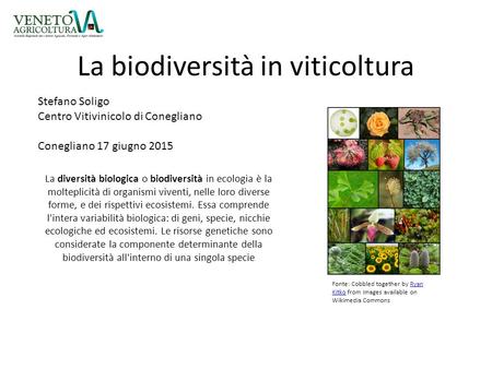 La biodiversità in viticoltura