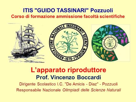 L’apparato riproduttore Prof. Vincenzo Boccardi