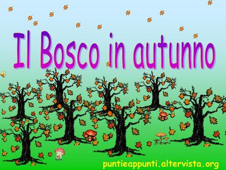 Il Bosco in autunno puntieappunti.altervista.org.