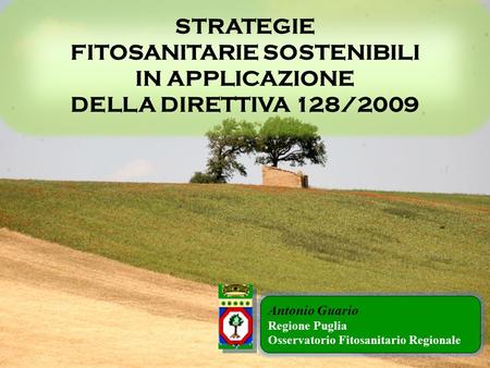 STRATEGIE FITOSANITARIE SOSTENIBILI IN APPLICAZIONE DELLA DIRETTIVA 128/2009 Antonio Guario Regione Puglia Osservatorio Fitosanitario Regionale.