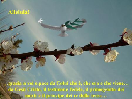 Alleluia! …grazia a voi e pace da Colui che è, che era e che viene… da Gesù Cristo, il testimone fedele, il primogenito dei morti e il principe dei re.