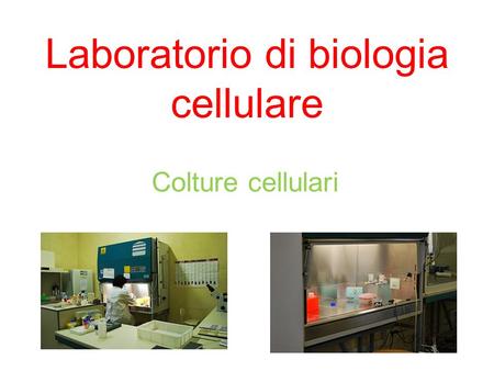 Laboratorio di biologia cellulare