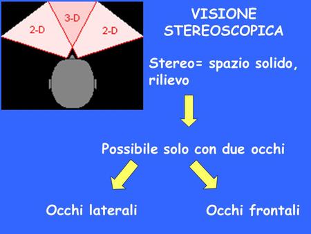 VISIONE STEREOSCOPICA