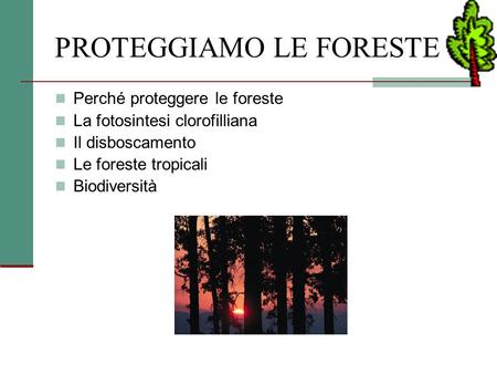 PROTEGGIAMO LE FORESTE