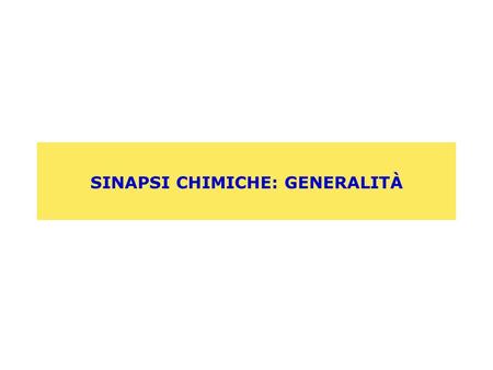 SINAPSI CHIMICHE: GENERALITÀ