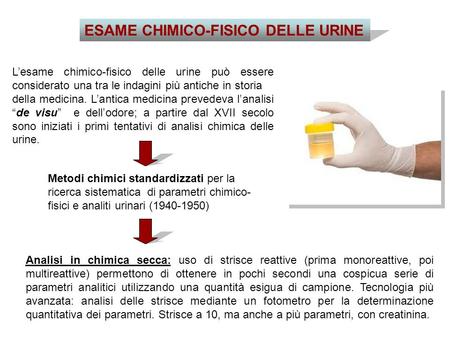 ESAME CHIMICO-FISICO DELLE URINE L’esame chimico-fisico delle urine può essere considerato una tra le indagini più antiche in storia della medicina. L’antica.