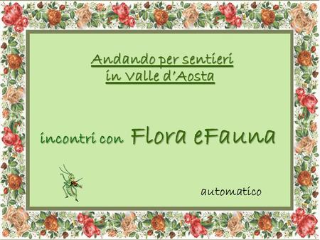 incontri con Flora eFauna Andando per sentieri in Valle d’Aosta Andando per sentieri in Valle d’Aosta automatico.