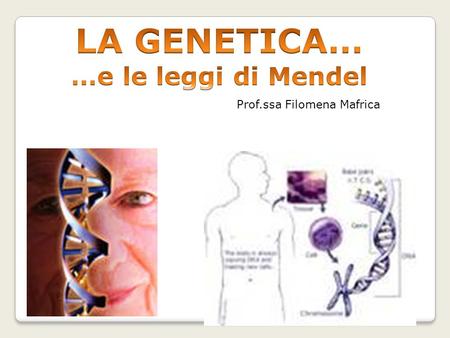 LA GENETICA… …e le leggi di Mendel Prof.ssa Filomena Mafrica.