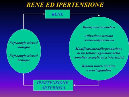 RENE ED IPERTENSIONE RENE IPERTENSIONE ARTERIOSA Ritenzione idrosodica