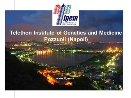 Telethon Institute of Genetics and Medicine