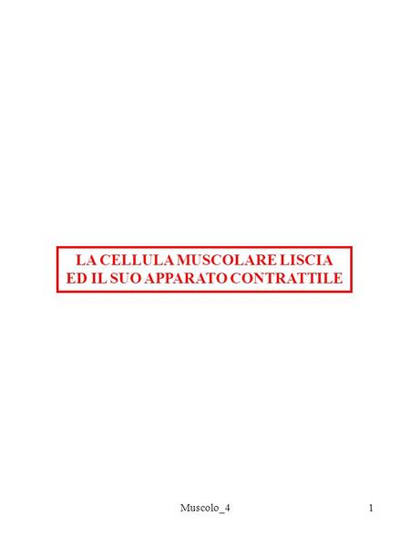 LA CELLULA MUSCOLARE LISCIA ED IL SUO APPARATO CONTRATTILE