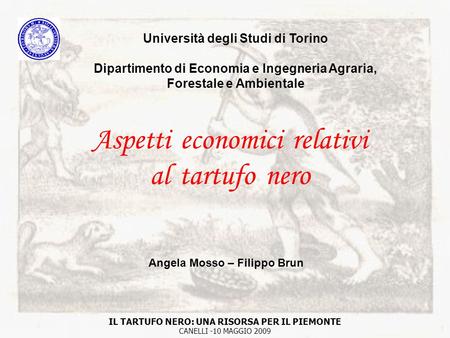 Università degli Studi di Torino Dipartimento di Economia e Ingegneria Agraria, Forestale e Ambientale Aspetti economici relativi al tartufo nero IL TARTUFO.