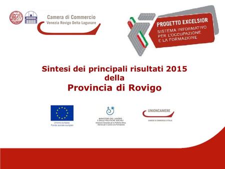 1 Sintesi dei principali risultati 2015 della Provincia di Rovigo.