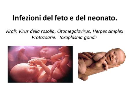 Infezioni del feto e del neonato.