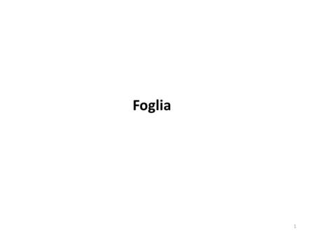 Foglia.